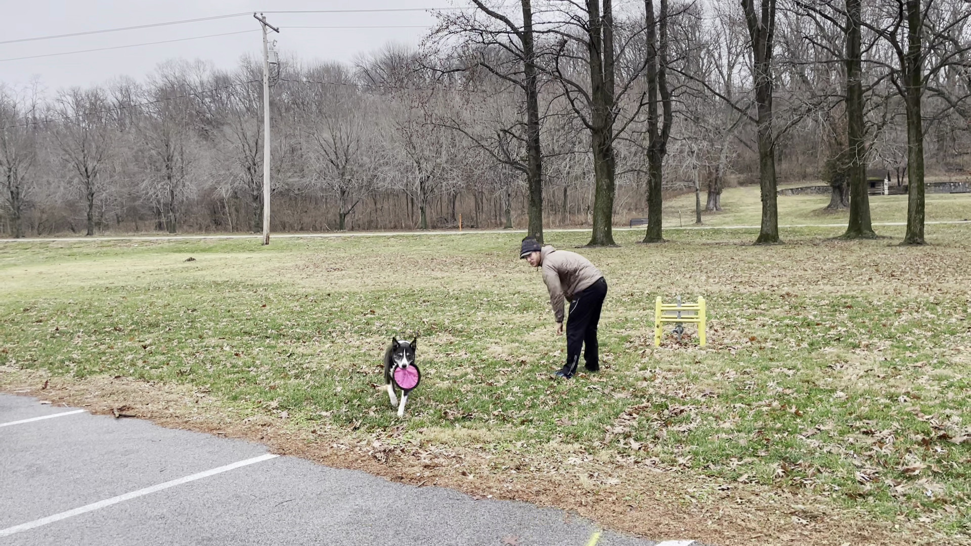 Fetching a Frisbee